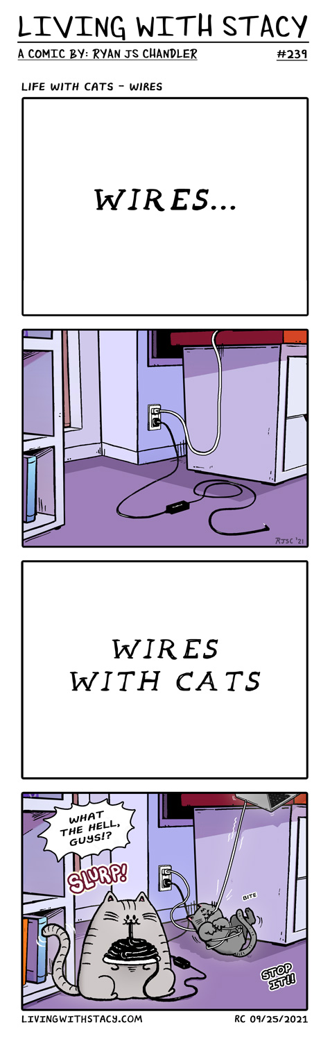 Life With Cats - Wires